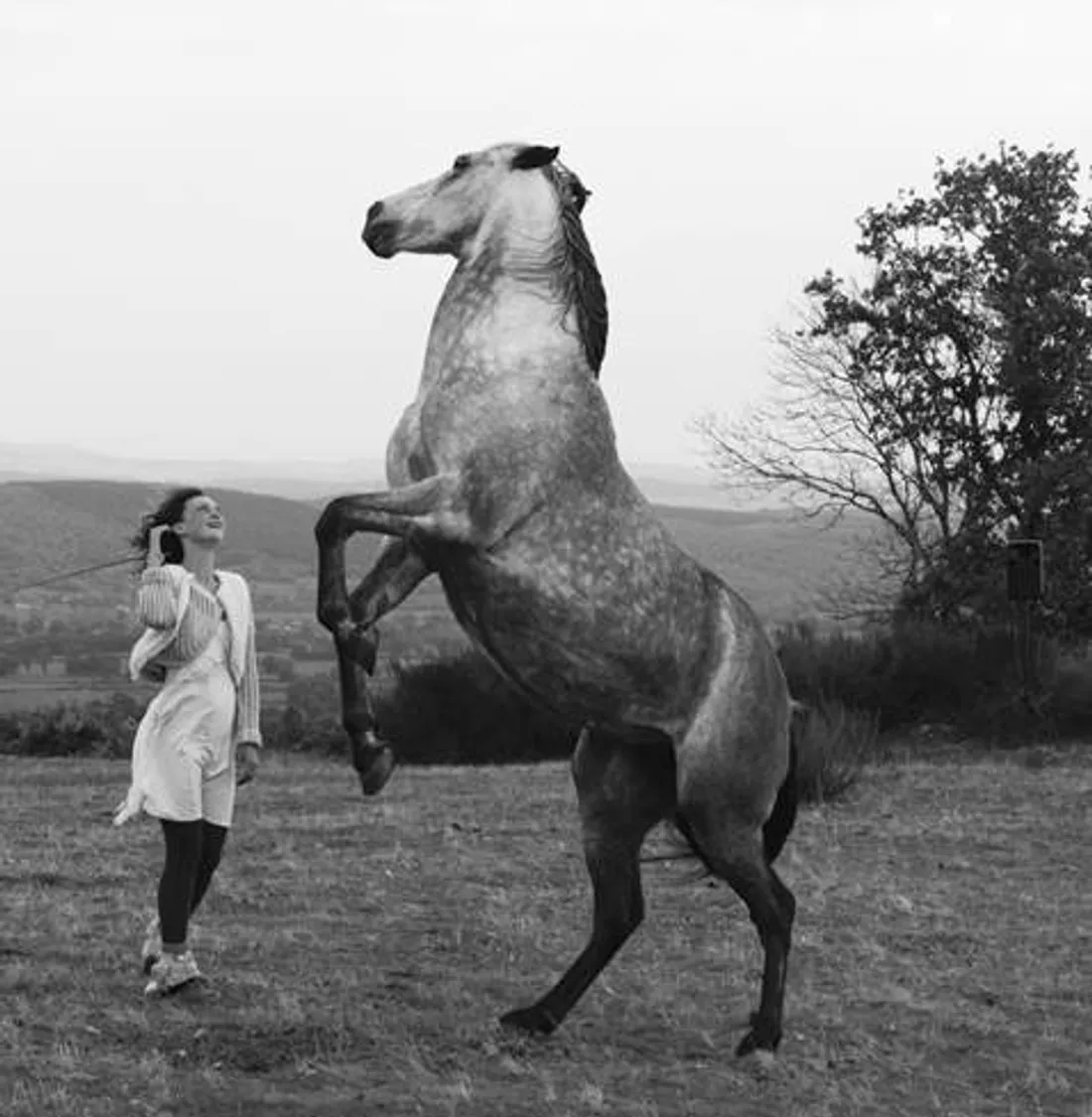 Ce spectacle sera marqué par la présence de chevaux célestes 